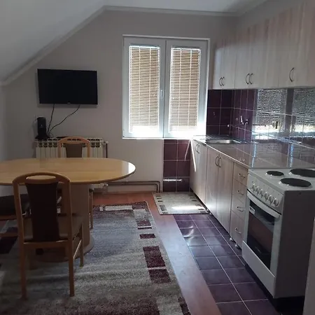 Apartment Dunja Bajina Basta