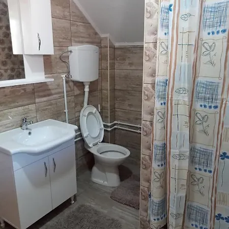 Dunja Apartment Bajina Basta